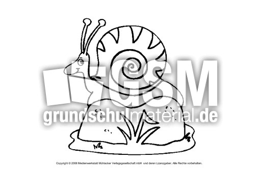 Schnecke-1.pdf